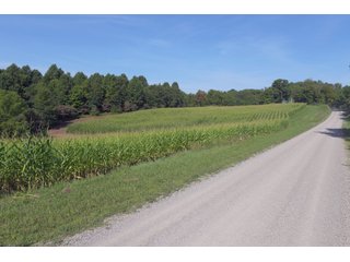 Tract 32 - Timberland & Farmland in Noble County, OH - LAND AUCTION - 12,200+/- ACRES OFFERED IN 65 TRACTS IN NOBLE COUNTY, OHIO